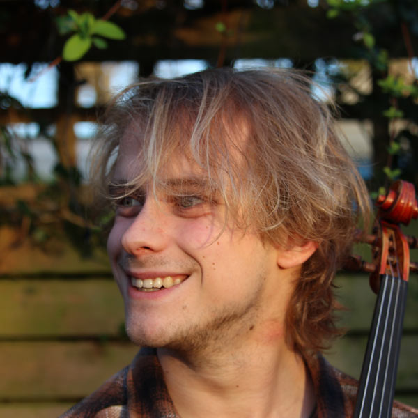 andré stokes violin teacher dublin